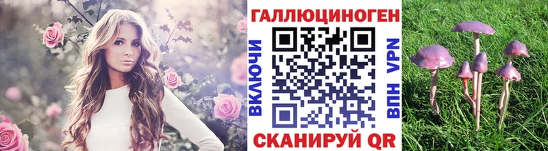 Псилоцибиновые грибы GOLDEN TEACHER  Михайловск 