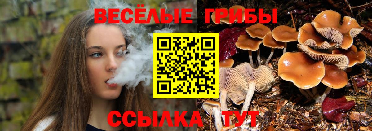 Галлюциногенные грибы прущие грибы  Вход с VPN  Михайловск 