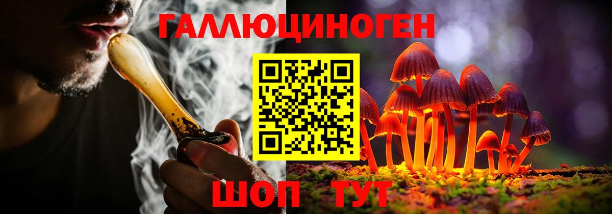 Галлюциногенные грибы GOLDEN TEACHER Михайловск
